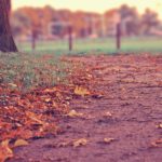 最後に待ち受けているものは。